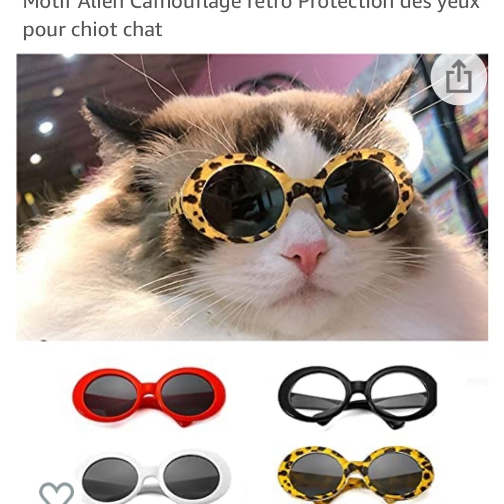 Cat glasses - Picture 3 of 4
